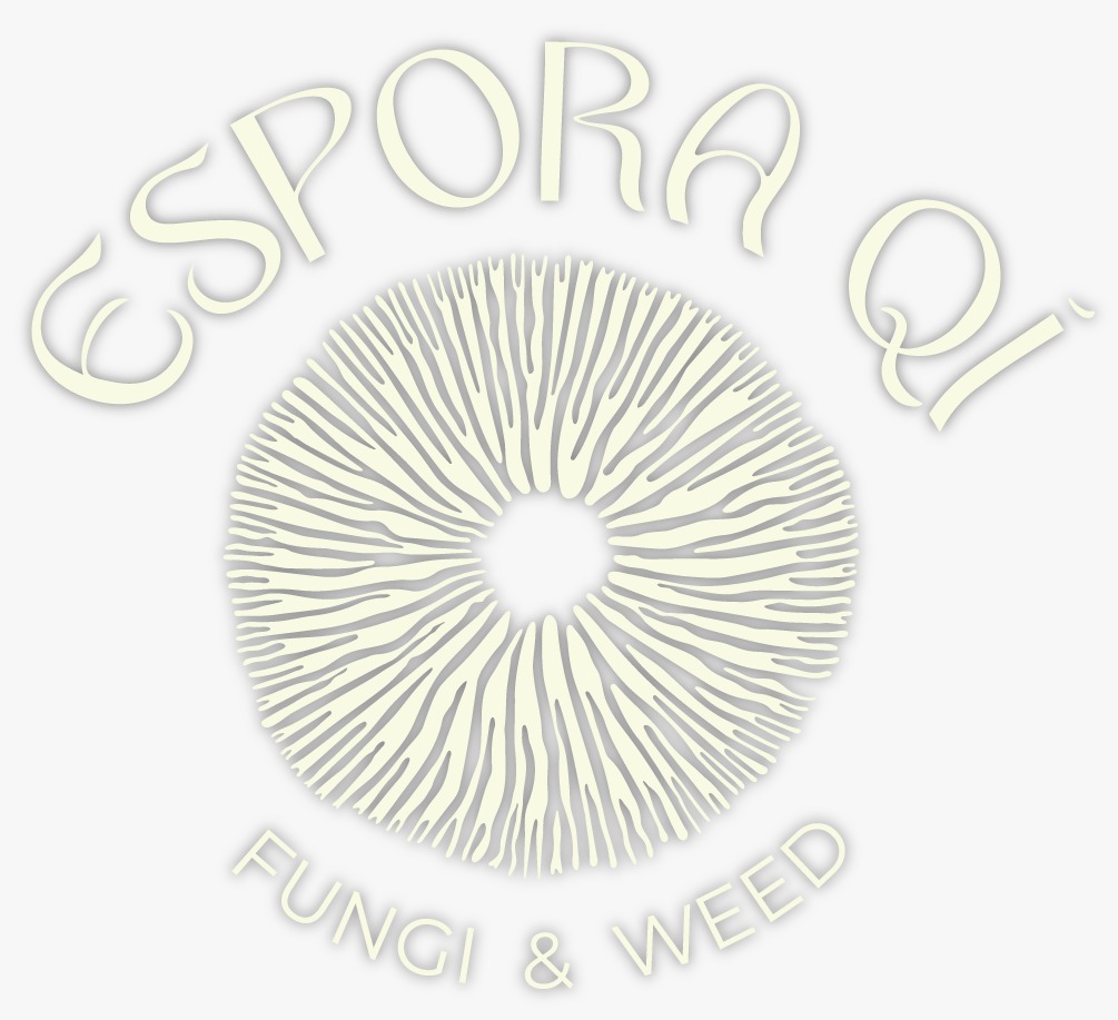 espora qi espora qi